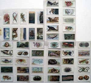 Complete Set of 50 'Wonders Of The Sea' Wills Cigarette Cards (1928)