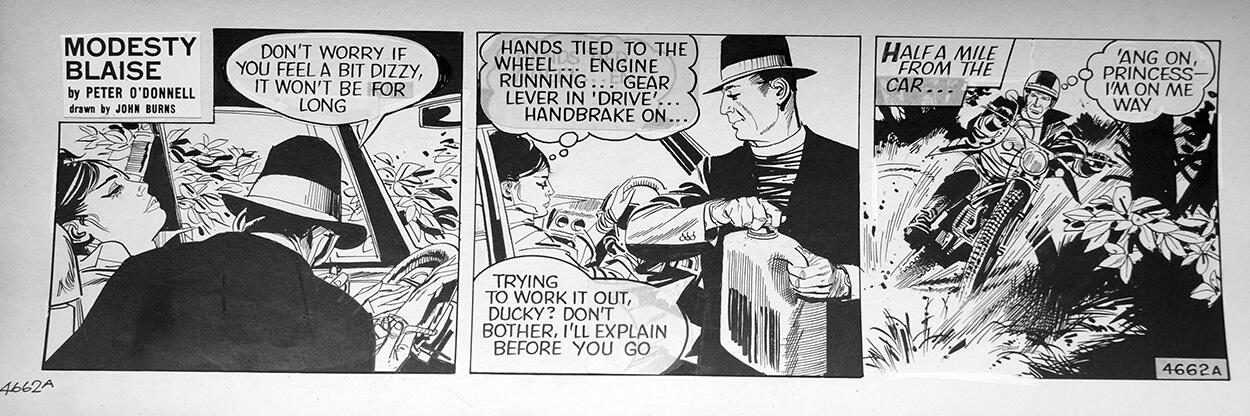 Modesty Blaise daily strip 4662a art by John M Burns