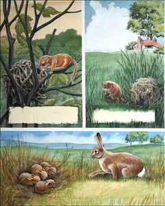 Animals in the Fields art by Don Forrest