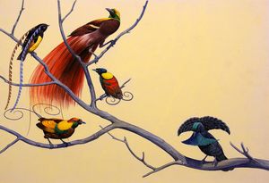 Birds of Paradise art by Bernard Long