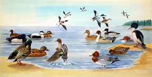 Nature Scene with Ducks art by Bernard Long