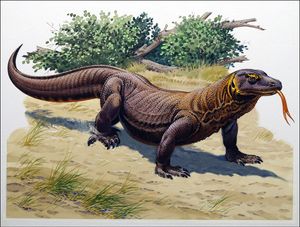 Komodo Dragon art by Bernard Long