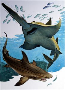 Sawfish and Tiger Shark art by Bernard Long