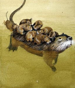 Coypu art by Kenneth Lilly