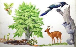 The Beech Tree art by John Rignall