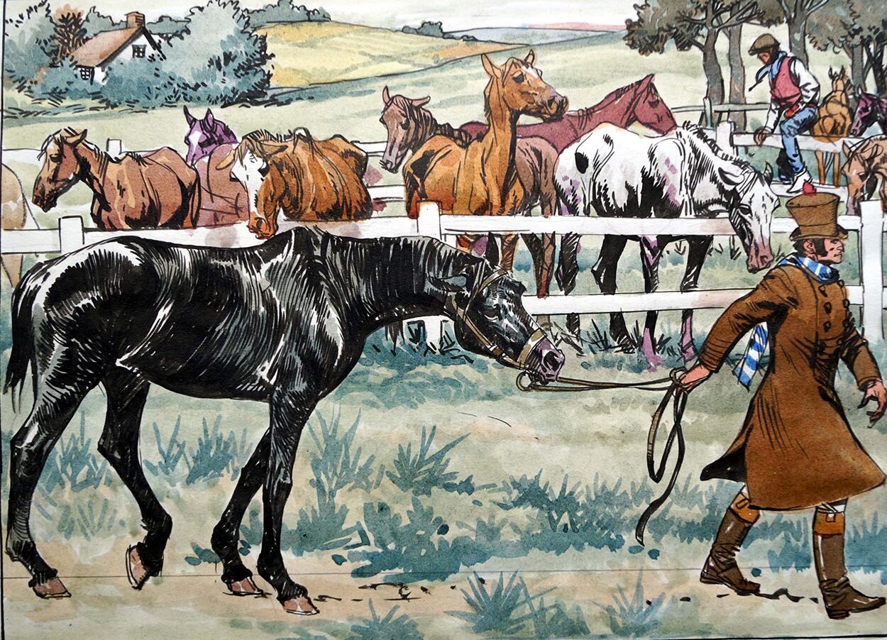 Black Beauty - Led Away art by Carlos Roume