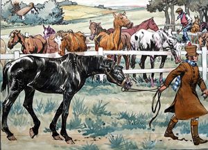 Black Beauty - Led Away art by Carlos Roume