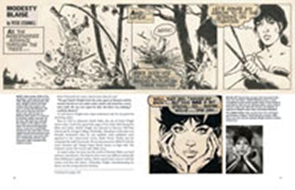 The Modesty Blaise Artists (Illustrators Special #16 Reprinted) by Diego Cordoba, Norman Boyd