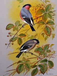 Paul A Nicholas artist biography