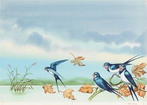 The Happy Prince: Bluebirds art by Ron Embleton