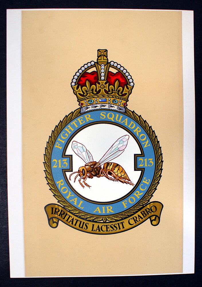 R.A.F. Badge: Fighter Squadron 213 art by 20th Century unidentified artist