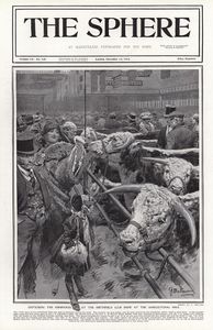 The Smithfield Club Show (original cover page from The Sphere 1913) art by Fortunino Matania