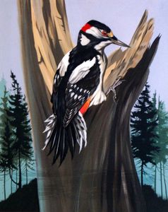 A Great Spotted Woodpecker art by 20th Century unidentified artist