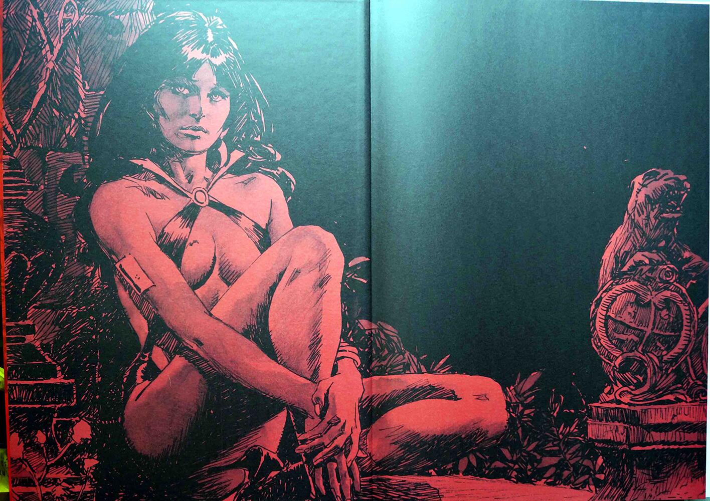 Jose Gonzalez's Vampirella Art Edition by Archie Goodwin, Steve