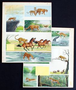 The Leopard art by Graham Allen
