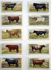 Full Set of 25 Cigarette Cards: British Livestock (1915) by Various