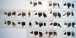 Complete Set of 48 'Animalloys' Wills Cigarette Cards (1934)