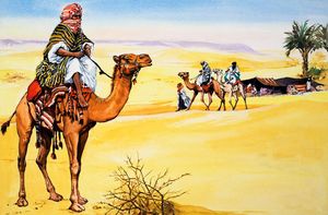 The Camel - Ship of the Desert art by 20th Century unidentified artist