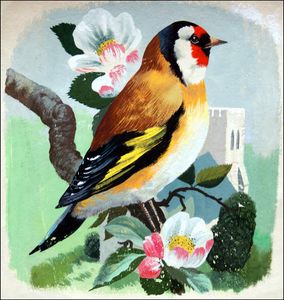Goldfinch art by Reginald B Davis