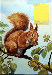 Hungry Red Squirrel art by Reginald B Davis