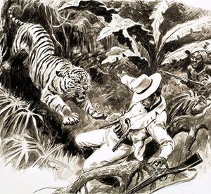 Tiger Attacking Hunter art by Cecil Doughty