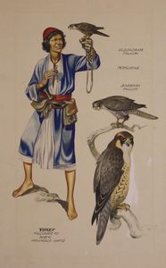 Falcons and Falconer art by Ron Embleton