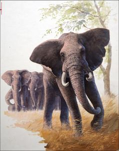 Bull Elephant Looking After Baby art by Bob Hersey