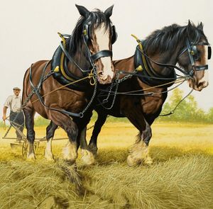 Heavy Horses art by David Nockels