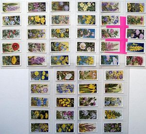 Complete Set of 50 'Wild Flowers' Wills Cigarette Cards (1936)