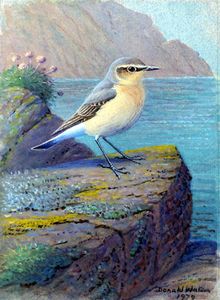 Donald Watson artist biography