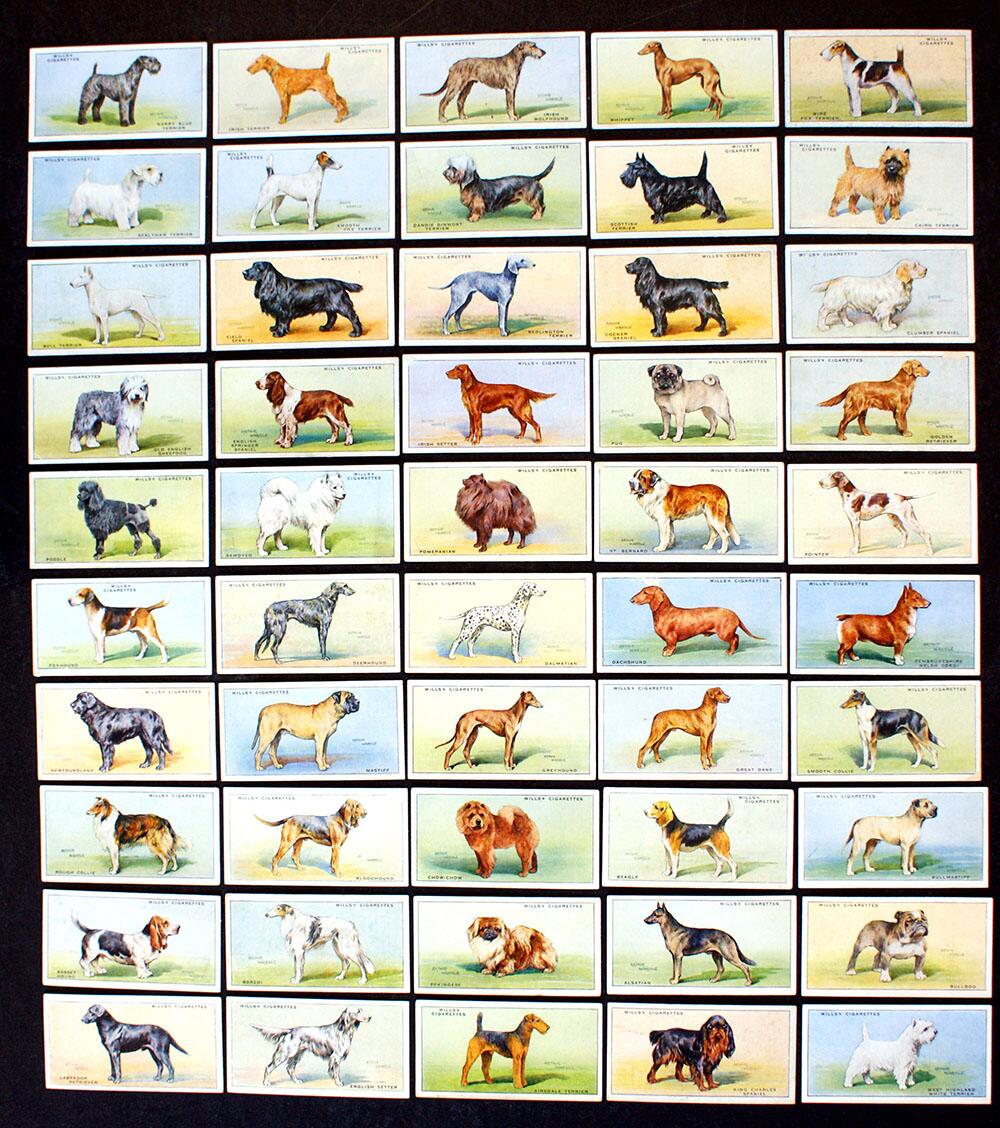 Cigarette Cards: Dogs (1937) (50 cards)