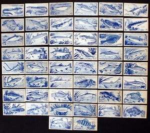 Complete Set of 50 Cigarette Cards: British Fish
