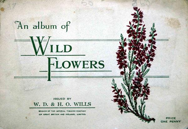 Complete Set of 50 Wild Flowers Cigarette cards in album (1936)