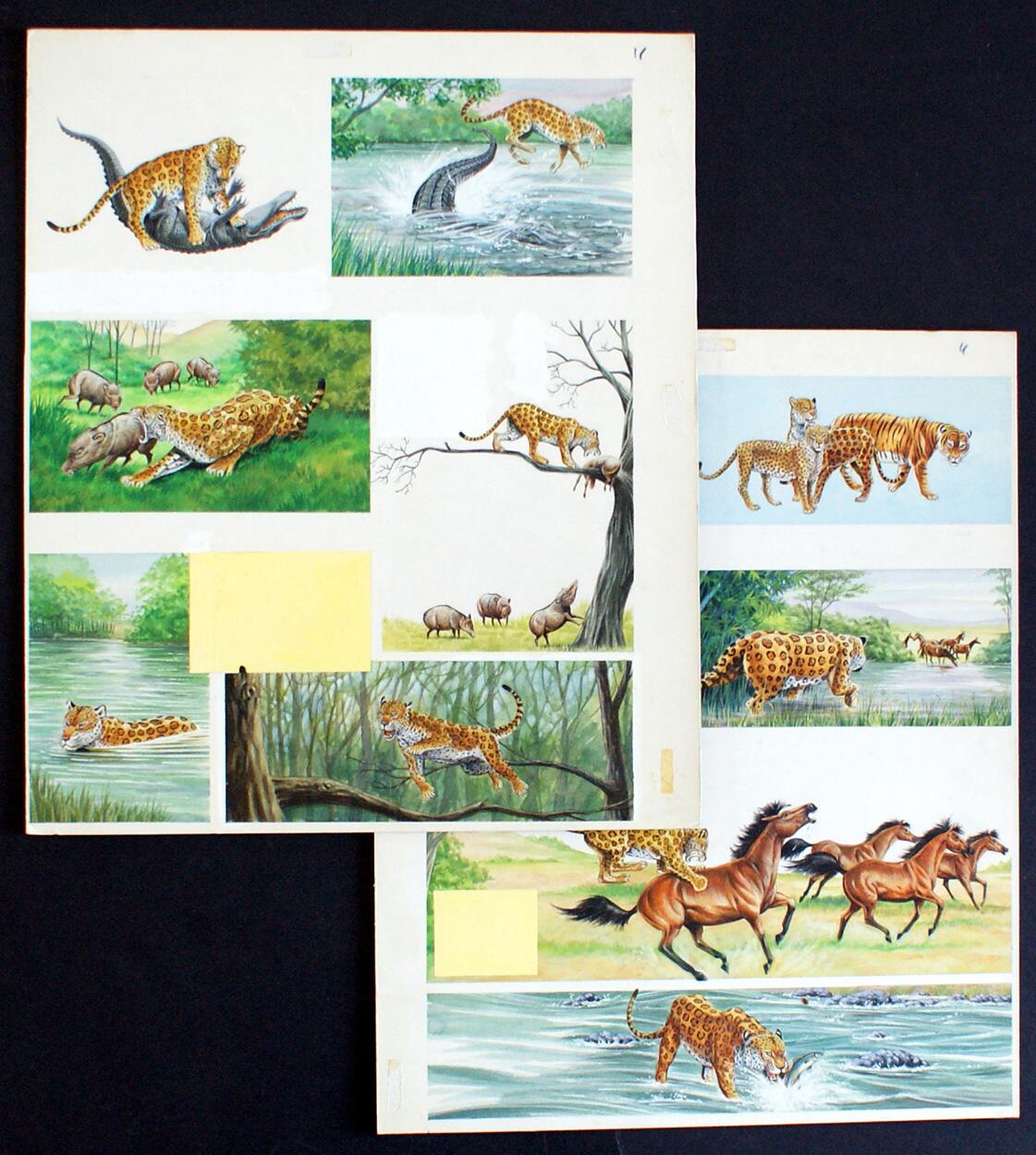 The Leopard art by Graham Allen