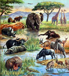 Danger At The Water Hole art by 20th Century unidentified artist