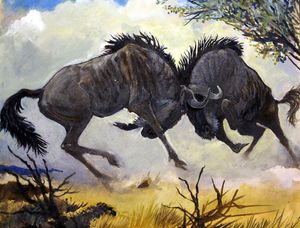 Horns of Fury art by G W Backhouse