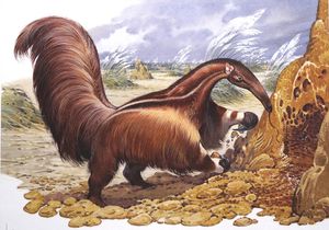 Giant Anteater art by Bernard Long