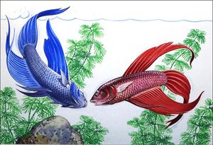 Siamese Fighting Fish art by Bernard Long