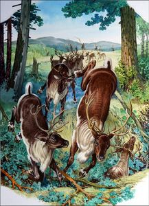 Reindeer Hunt art by Bernard Long