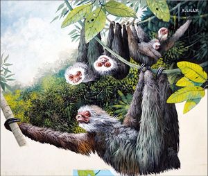 Hanging Around - The Sloth art by Kenneth Lilly
