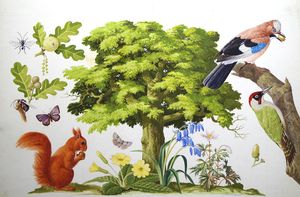 The Wonderful Oak Tree art by John Rignall