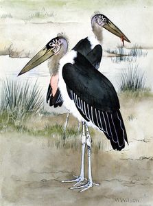 Maurice Wilson artist biography