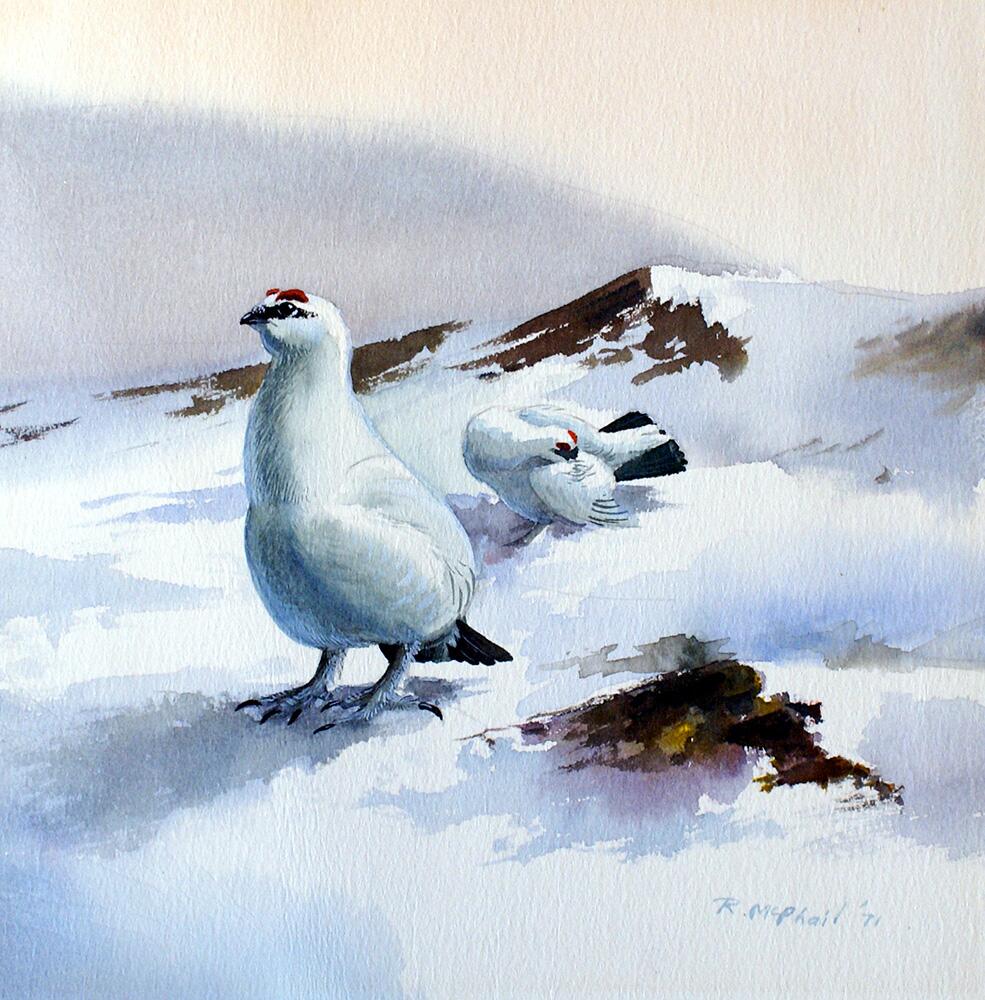 Rodger McPhail artist biography