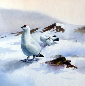Rodger McPhail artist biography