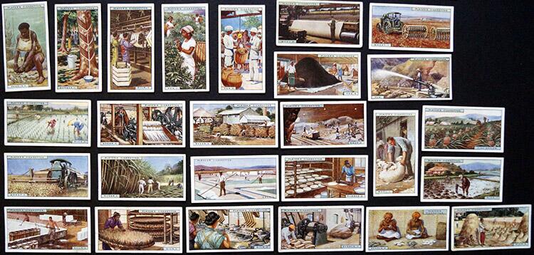 Complete Set of 50 'Products Of The World' John Player & Sons Cigarette Cards (1908)