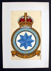 R.A.F. Badge: School Of Air Navigation art by 20th Century unidentified artist