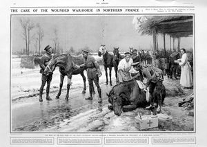 The Wounded War-Horse (original page from The Sphere 1915) art by Fortunino Matania