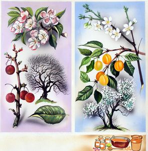 Cherry and Peach Wild Fruit Trees art by David Pratt