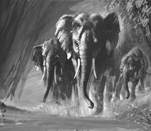 Elephants on Parade art by Graham Coton