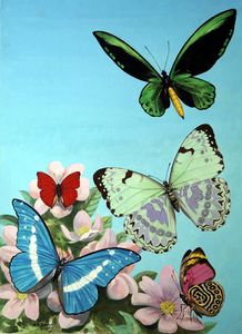 Butterflies - High-Flying Beauties art by Reginald B Davis